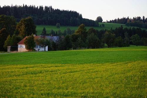 Maison de vacances Knuschbrhaisle 12 Auf'm Egg Oberreute