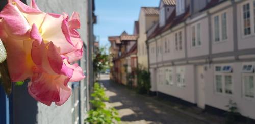 Maison de vacances Koje Kopenhagen 15 Oluf-Samson-Gang Flensbourg