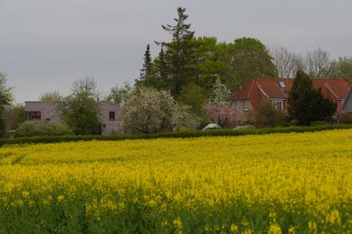 Künstlerhaus Rieseby allemagne