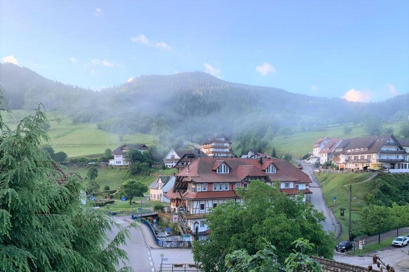 Hôtel Kurparkhotel Faißt Am Ackerköpfle 1, 77740 Bad Peterstal-Griesbach