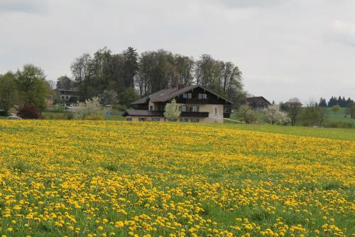 Maison d'hôtes Kurparkpension Stephan Quellenweg 2 Bad Endorf