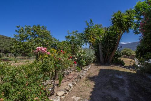 B&B / Chambre d'hôtes L'Aghjalle Route de Muro Hameau de Toro Santa-Reparata-di-Balagna