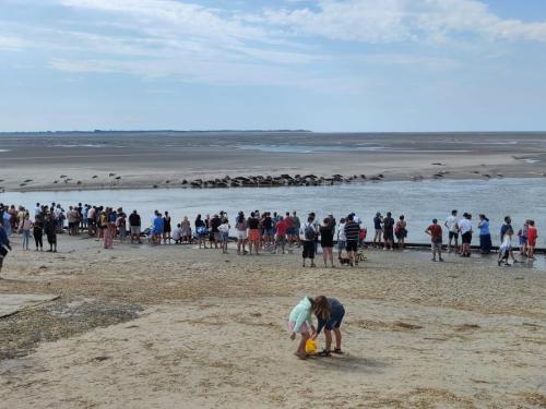 L’Alchimie de Léonie Berck-sur-Mer france