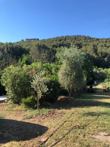 L Atelier gîte avec piscine Le Jas des Oliviers Le Castellet france