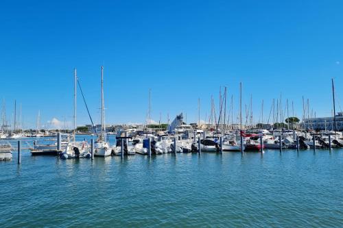 L'Aube Ensoleillée entre Plage et Pinède Le Grau-du-Roi france