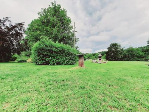 L'Empesson Studio pleine nature Clairvaux-les-Lacs france