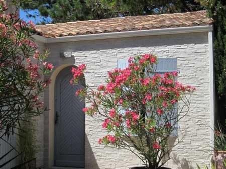 l'enclos des lys Saint-Georges-dʼOléron france