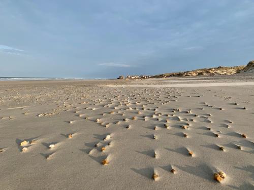 L'esprit Du Bonheur Wimereux france