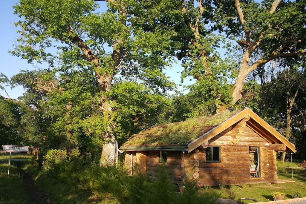 Chalet L'Estanquet. 1 Route de la Caserne, 40110 Sindères