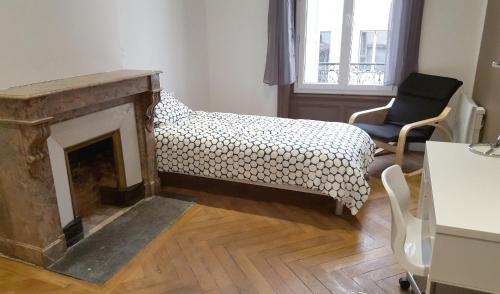 Appartements L'Haussmannien Stéphanois 31 Rue Balay Saint-Étienne