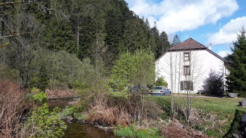 Appartement L'Idéal 67 Boulevard de Granges Gérardmer