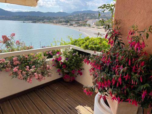 Appartement L’Ile Rousse les pieds dans l’eau 18 Rue Notre Dame LʼÎle-Rousse