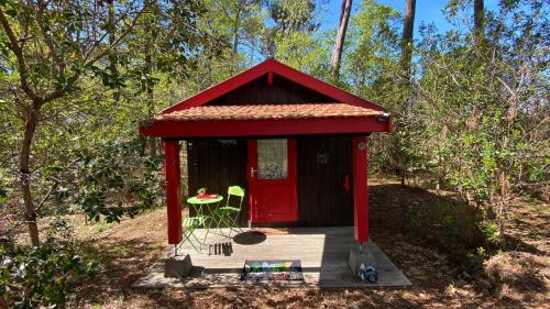 Villa L’Oasis au milieu de la Forêt 80 Avenue du Lac Lacanau