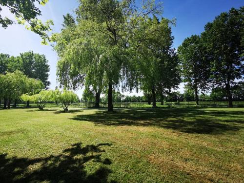 Camping L'Oasis des Dombes Route de Saint-Jean de Thurigneux Ambérieux-en-Dombes