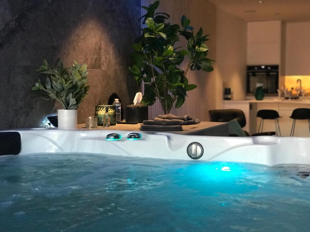 Maison de vacances L’ODYSSÉE SPA 71 Rue Parmentier, 59113 Seclin