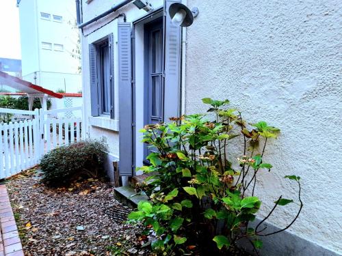 L'Orée du Marais - Paisible maison centre-ville Bourges france