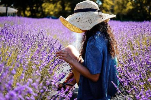 L'Oustaou du Luberon et SPA Villelaure france