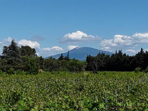 L'Oustau de MaLo Sainte-Cécile-les-Vignes france