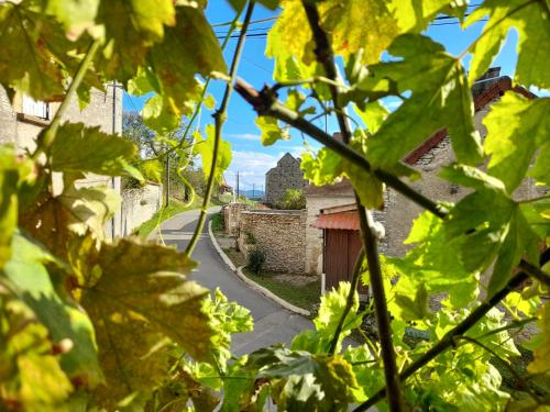 B&B / Chambre d'hôtes L'Oxalis chambre d'hôte petit déjeuner compris Route de Mont Cortevaix