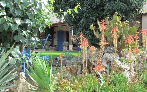 Maison de vacances La bastide de l'olivette 339 Chemin Fontanasse 339 Chemin Fontanasse Carnoules