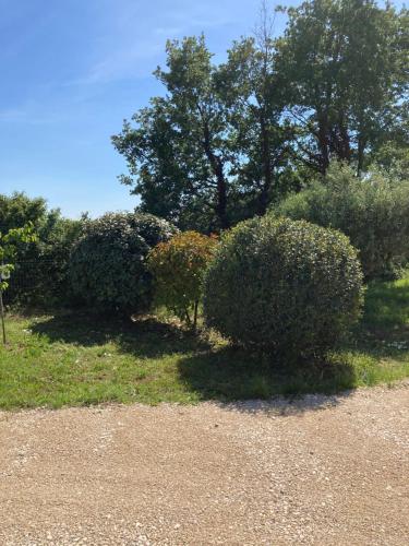 La Bastide de l'Olivier Flassan france