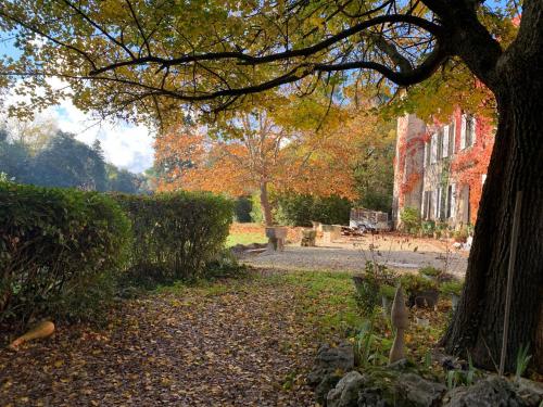 Maison d'hôtes La Belle Eco Codaigues Montréal (Aude)