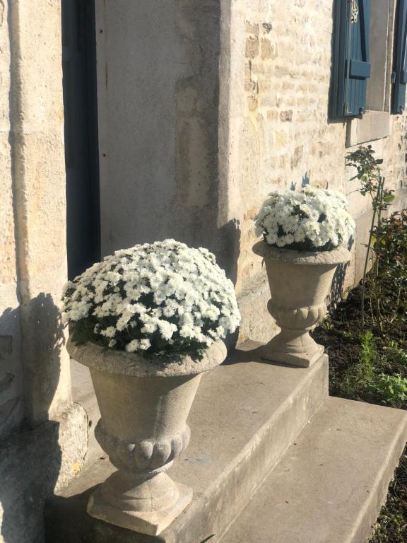 Maison d'hôtes La Belle Epoque - Chambres d'hôtes & SPA 8 Chemin du Halage, 85420 Damvix