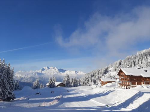 Appartement La Belle Etoile 001 333 Impasse des Maisons des Bois Manigod