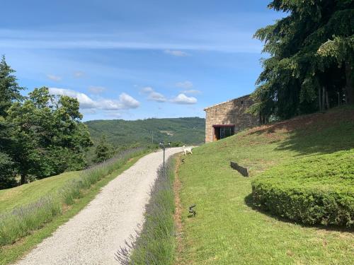 La bergerie Saint-Apollinaire-de-Rias france