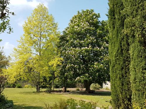 B&B / Chambre d'hôtes la blanchetière 8 RUE DES VIGNES Francueil