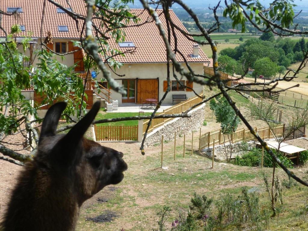 Maisons de vacances La Bruyère aux Lamas La Bruyère 2 - 200 Chemin du Cros, 42370 Saint-André-dʼApchon