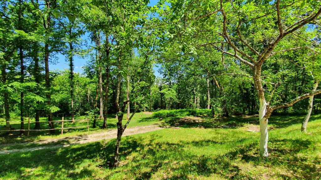 Maison de vacances La Buissonade proche Sarlat 24 1545 Route du Bousquet, 24200 Lavergne