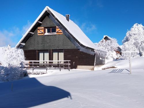 La cabane au pied des pistes Chastreix france