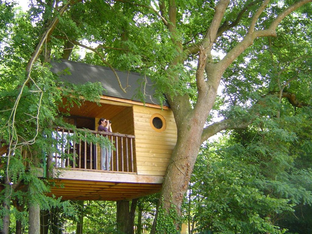 Maison de vacances La Cabane aux Secrets - Au Milieu de Nulle Part Lieudit La Pierre, 51290 Outines