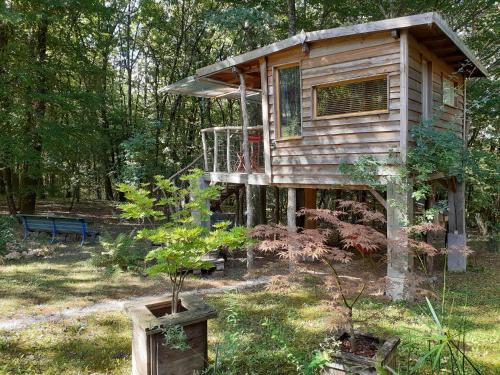 La cabane de l'oiseau Couze-et-Saint-Front france