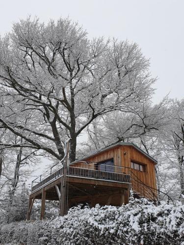 La cabane perchée du faucon Fréchou-Fréchet france