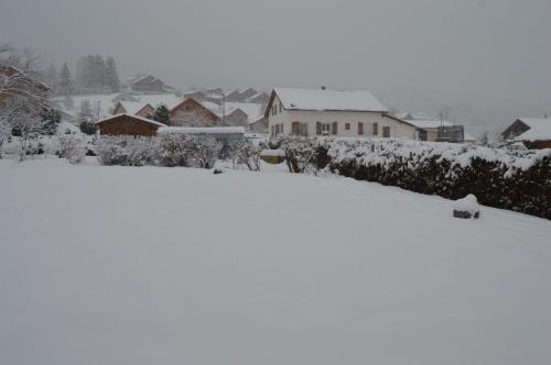 Chalet la cache des relles 350 Route des Relles Gouttes Xonrupt-Longemer