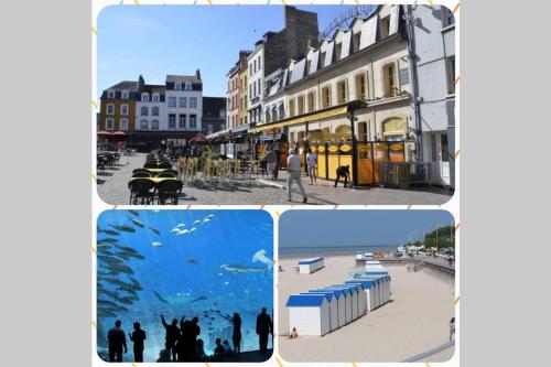 La Canisse 1 - Joli appartement - Boulogne-sur-mer Boulogne-sur-Mer france