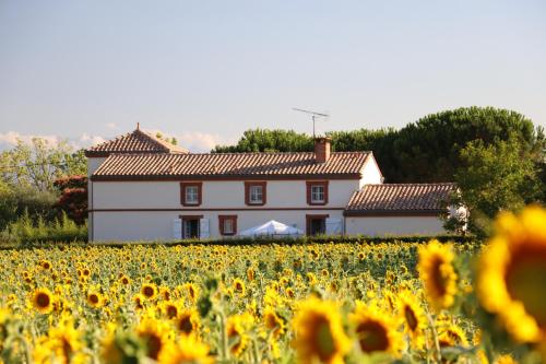 B&B / Chambre d'hôtes La Cascadeta Lieu-dit Les Arrougès 221 route de Benque Marignac-Lasclares