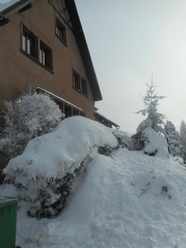 Appartement la Charbonnière 110 forêt de chirgoutte Bellefosse