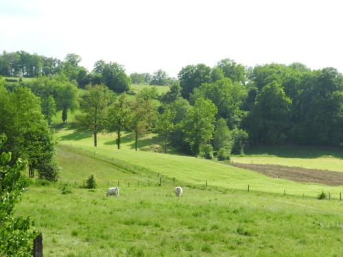 La Charmatière Haute-Rivoire france