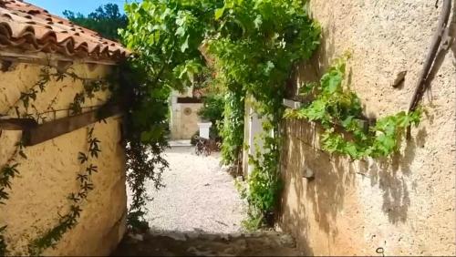 Maisons de vacances La Chenaie La Chenaie Sorges Bujadelle