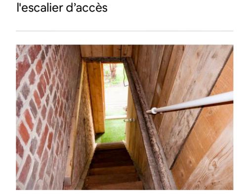 La Chicorée Annoeullin france