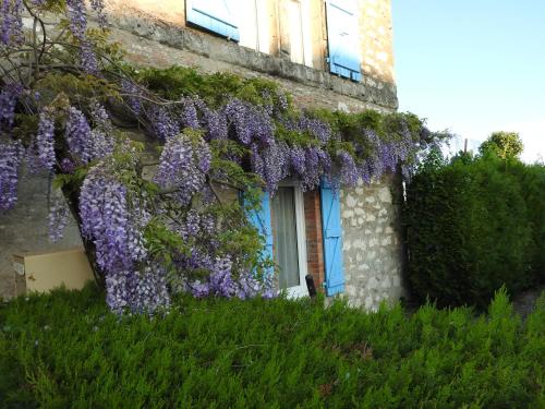 LA DAME FINES Puybegon france