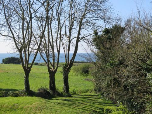 Villa La datcha de Nevez à 300m de la plage 10 impasse Stang-Dour lieu-dit Kerstalen Névez