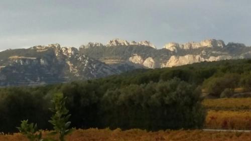 La Dentellière Saint-Hippolyte-le-Graveyron france