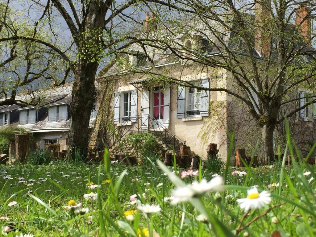 B&B / Chambre d'hôtes La familiale Vigneronne 5 route de Villesavoir -Chouzy-sur-Cisse, 41150 Chouzy-sur-Cisse