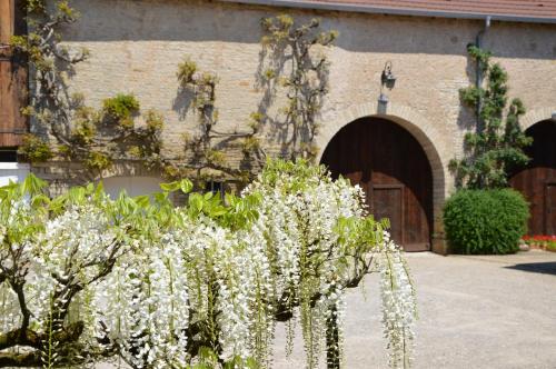 Maison d'hôtes La ferme aux glycines 6 Route D’Oricourt Aillevans