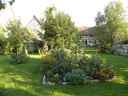 Maisons de vacances La Ferme de Marie 5, rue principale Rangen