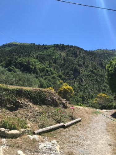 Séjour à la ferme La Ferme des Cailletiers chez Marco Route de la Madone Quartier Le Collet villa le Moulin Lucéram